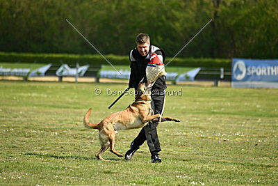 Armstrong Free to Fly