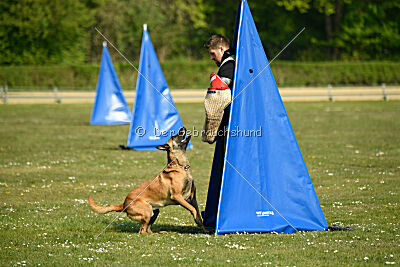 Armstrong Free to Fly