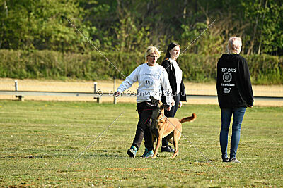 Armstrong Free to Fly