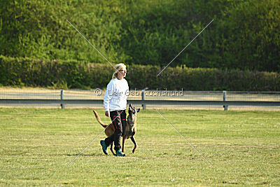 Armstrong Free to Fly