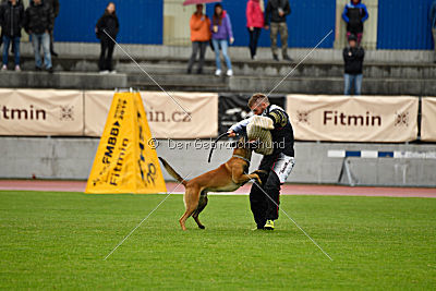 Arnold de Fontemordant