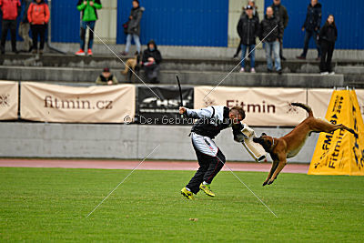 Arnold de Fontemordant