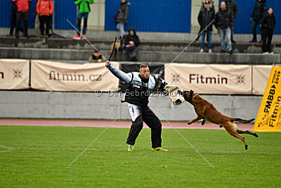 Arnold de Fontemordant