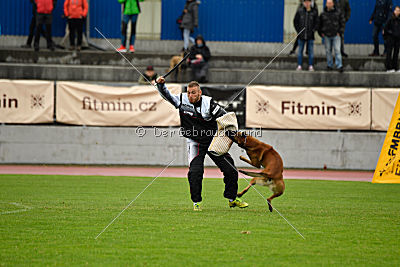 Arnold de Fontemordant