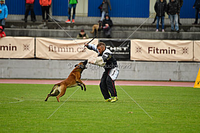 Arnold de Fontemordant