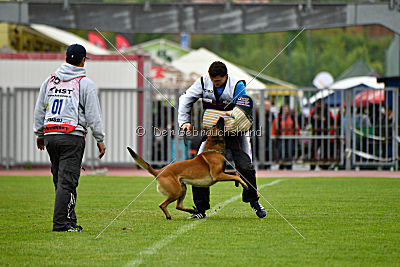 Arnold de Fontemordant