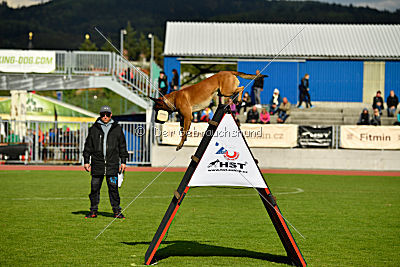 Arnold de Fontemordant