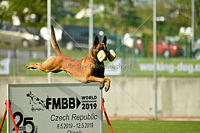 Arnold de Fontemordant