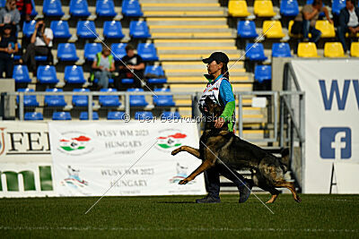 Arod von Yokohama Nango