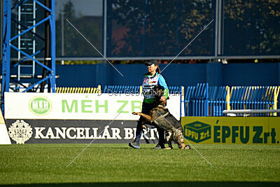 Arod von Yokohama Nango