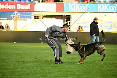 Arod von Yokohama Nango