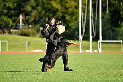 Arriva von der Teufelspratze