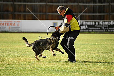 Arska vom Schattenbachtal