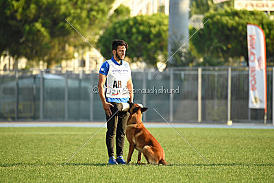 Artax von Anauj Haus