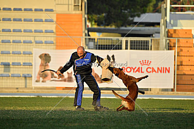 Artax von Anauj Haus