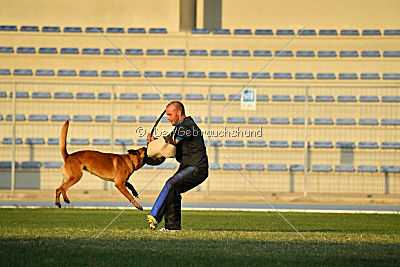 Artax von Anauj Haus