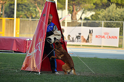 Artax von Anauj Haus