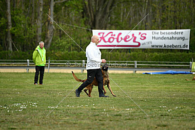 Arthos vom Feldbrand