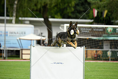 Arthur vom Tiefgestade