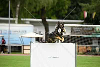 Arthur vom Tiefgestade