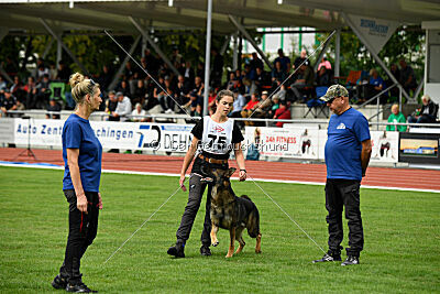 Arthur vom Tiefgestade