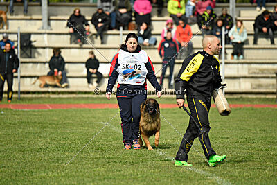 Arton Maltegro