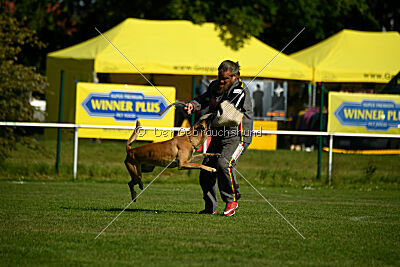 Arturo Banda Los Valientes