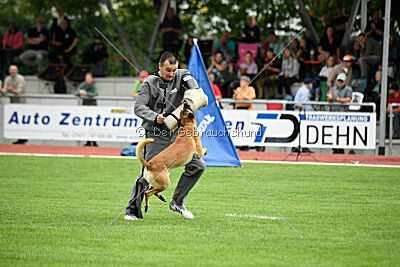 Arturo Banda Los Valientes