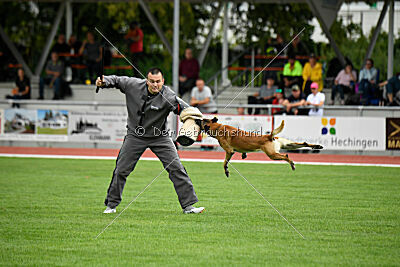 Arturo Banda Los Valientes