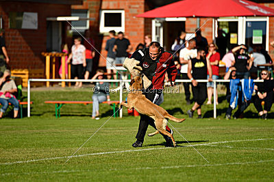 Ashley vom Clan der Wölfe