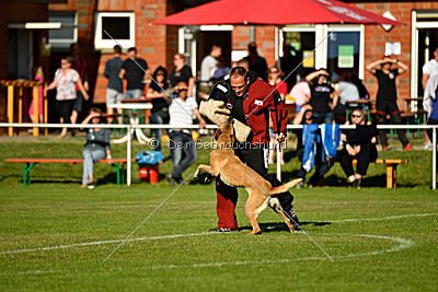 Ashley vom Clan der Wölfe