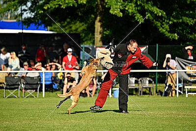 Ashley vom Clan der Wölfe