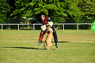 Ashley vom Clan der Wölfe