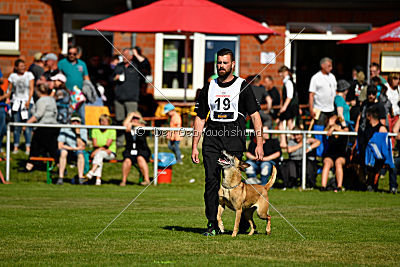 Ashley vom Clan der Wölfe