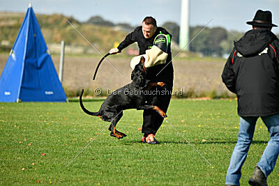 Askjell vom Dunkelvolk