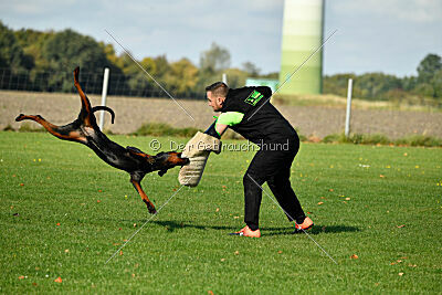 Askjell vom Dunkelvolk