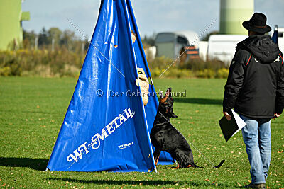 Askjell vom Dunkelvolk