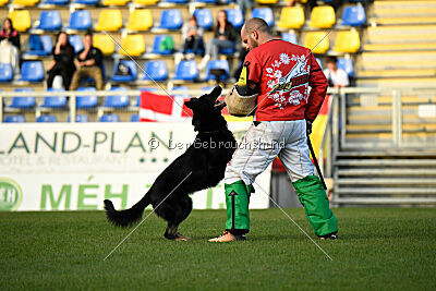 Asko von der Siegermacht