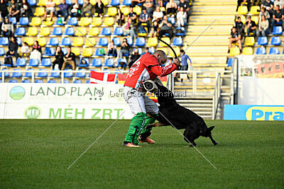 Asko von der Siegermacht