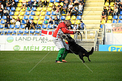 Asko von der Siegermacht