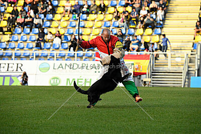 Asko von der Siegermacht