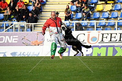 Asko von der Siegermacht