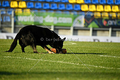 Asko von der Siegermacht