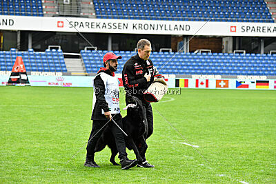 Asterix vom Parchimer Land