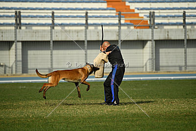 Ator van Hundespiel