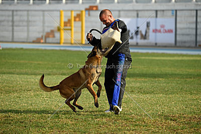 Ator van Hundespiel