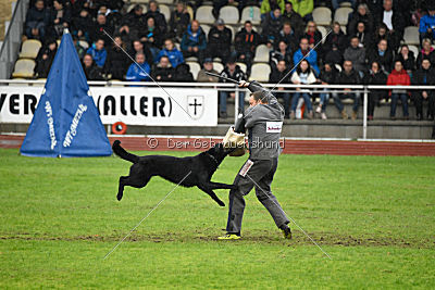 Atos vom Alpaland