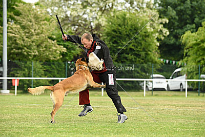 Atos vom Nilpferdhof