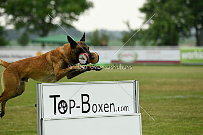 Atos vom Nilpferdhof