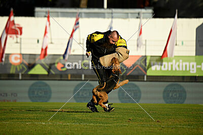 Atzipora von SprungLila